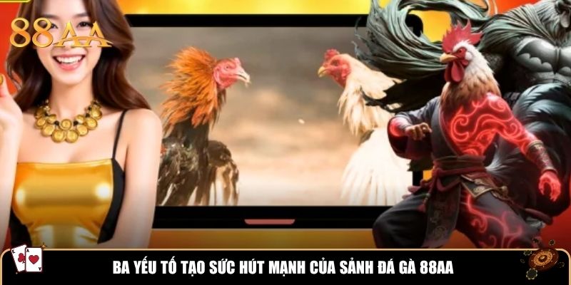 Ba yếu tố tạo sức hút mạnh của sảnh đá gà 88AA