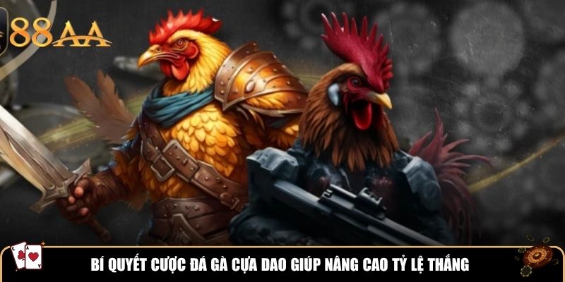 Bí quyết cược đá gà cựa dao giúp nâng cao tỷ lệ thắng