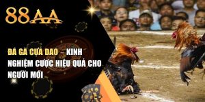 Đá Gà Cựa Dao – Kinh Nghiệm Cược Hiệu Quả Cho Người Mới