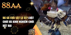 Đá Gà Cựa Sắt Là Gì? Luật Chơi Và Kinh Nghiệm Chơi Bất Bại