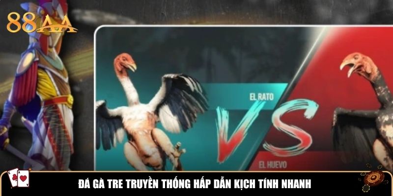 Đá gà tre truyền thống hấp dẫn kịch tính nhanh