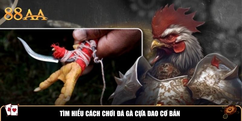 Tìm hiểu cách chơi đá gà cựa dao cơ bản