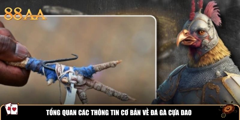 Tổng quan các thông tin cơ bản về đá gà cựa dao